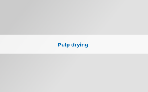 pulp-drying